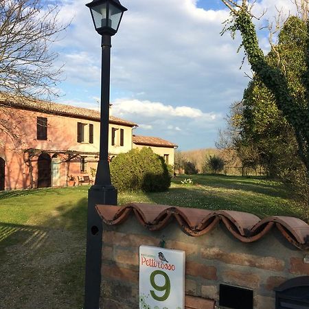 Agriturismo Il Pettirosso Pension Forlì Buitenkant foto