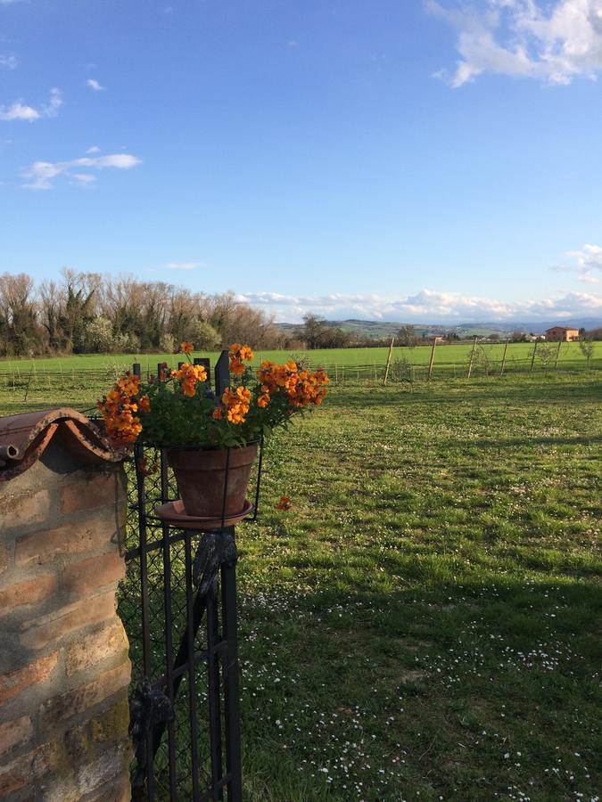 Agriturismo Il Pettirosso Pension Forlì Buitenkant foto